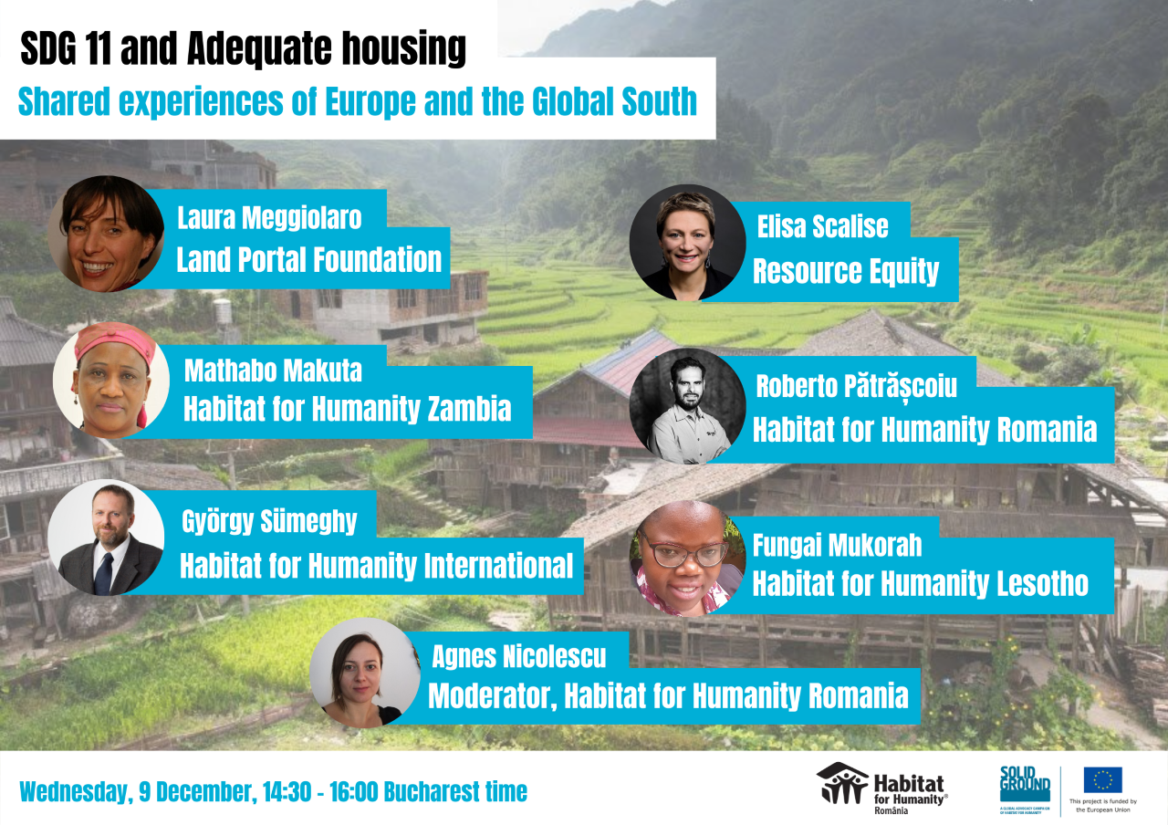 SDG 11 and Adequate housing: Shared experience of Europe and the Global South
