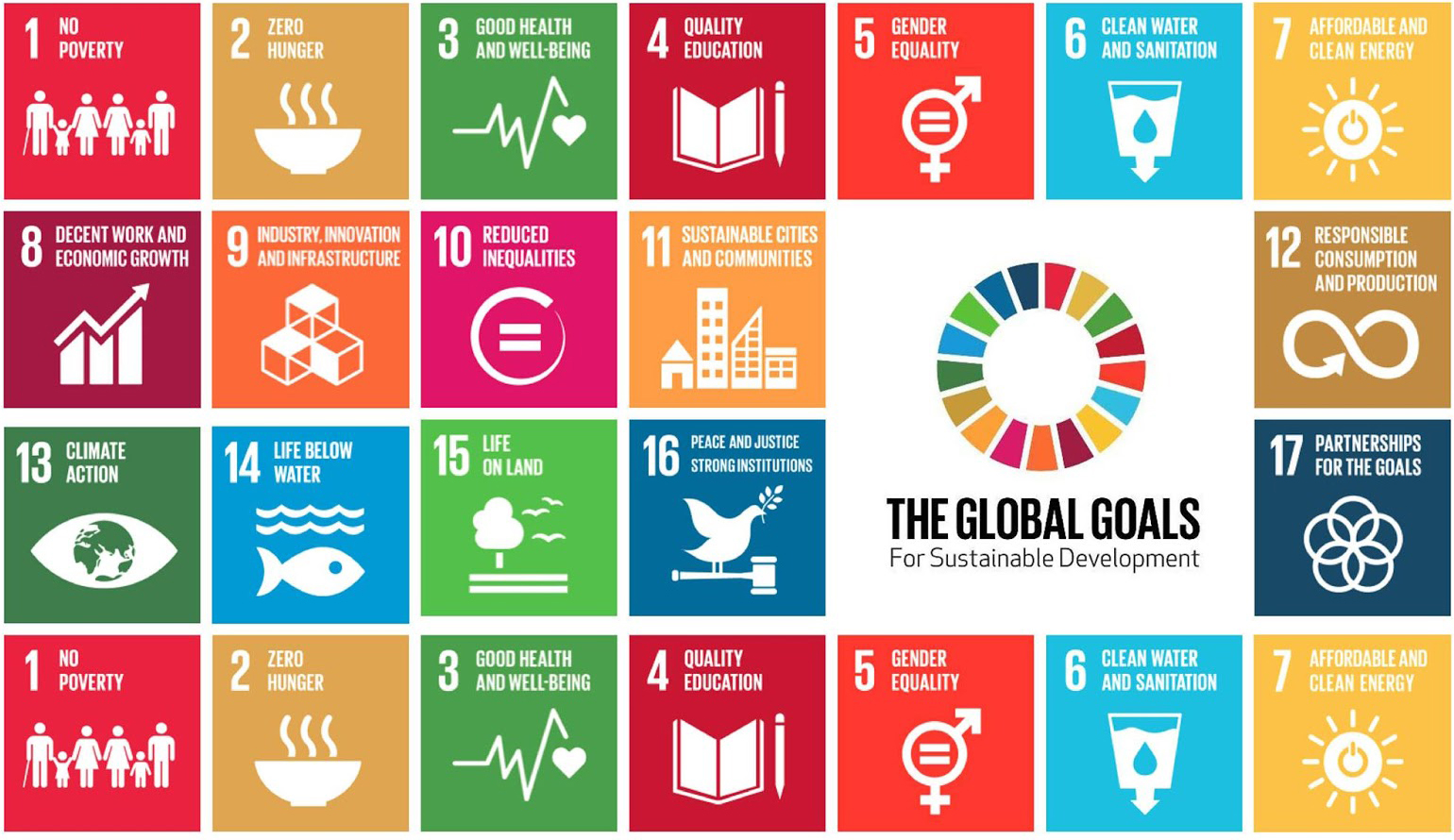 United Nations Sustainable Development Goals (SDGs)