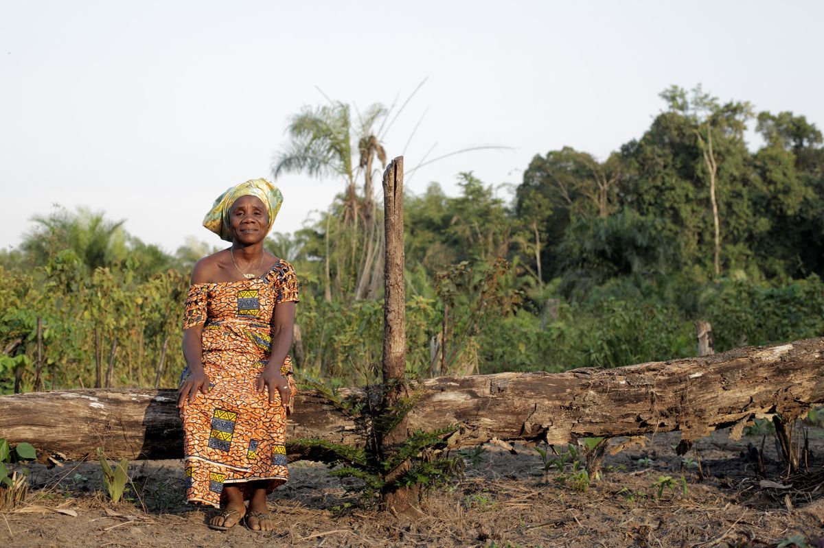 Liberia's Land Rights Law and the Worsening Dynamics of Land Grabs