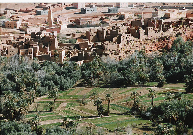 Oasis de la Vallée du Dades, photographie pa​​​​​​​r Gerardo García Moretti (CC BY-NC 2.0 Deed)