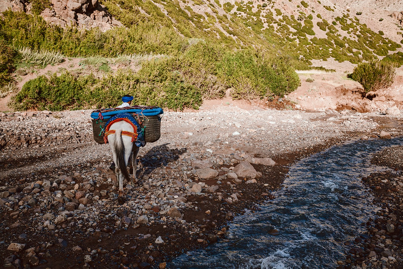 Un homme et son cheval, photographie par: ErWin (CC BY-SA 2.0)