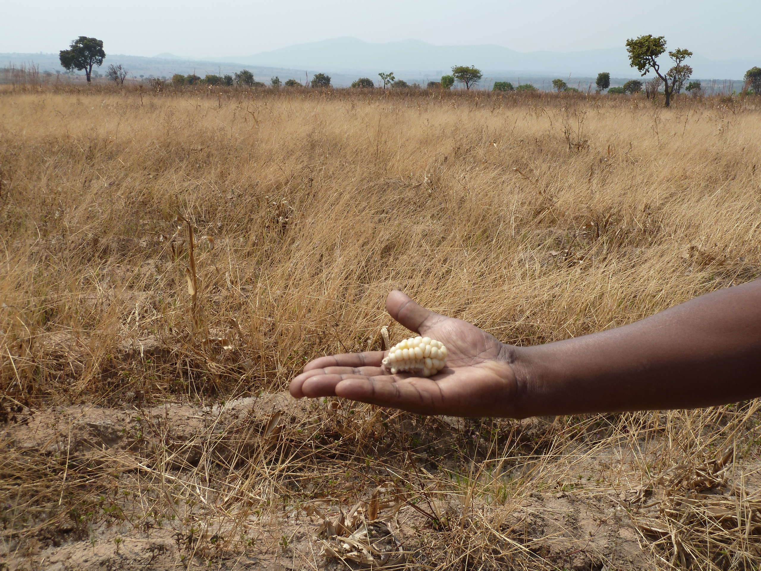 A seca persistente tem dominado partes de Angola. Foto por EU Proteção Civil e Ajuda Humanitária via Flickr (CC-BY-NC-ND 2.0 license)