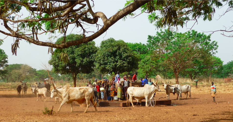  Women and cattle around a well, modified photograph by Jean-Louis Couture (CC BY-NC 2.0)