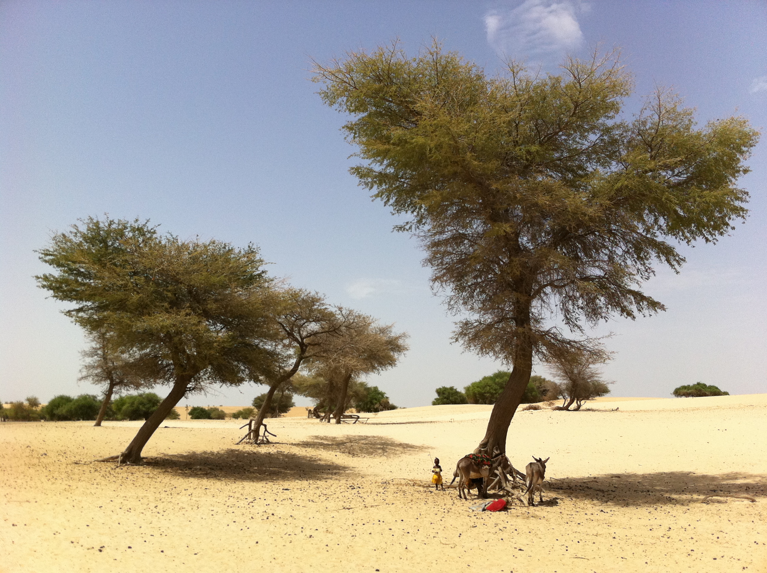 Sahelian landscape, photography by Christophe Valingot (CC BY-NC-ND 2.0)