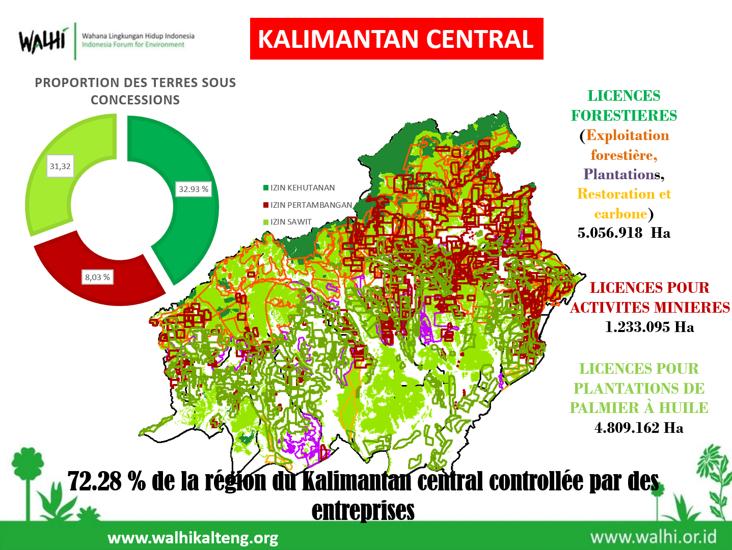 Figure 1 - Carte des licences accordées aux investisseurs dans le Kalimantan central, en Indonésie. Au total, plus de 11 millions d'hectares ont été accordés à des sociétés, ce qui représente 72 % de la masse continentale de la province. Source : WALHI WALHI Kalteng