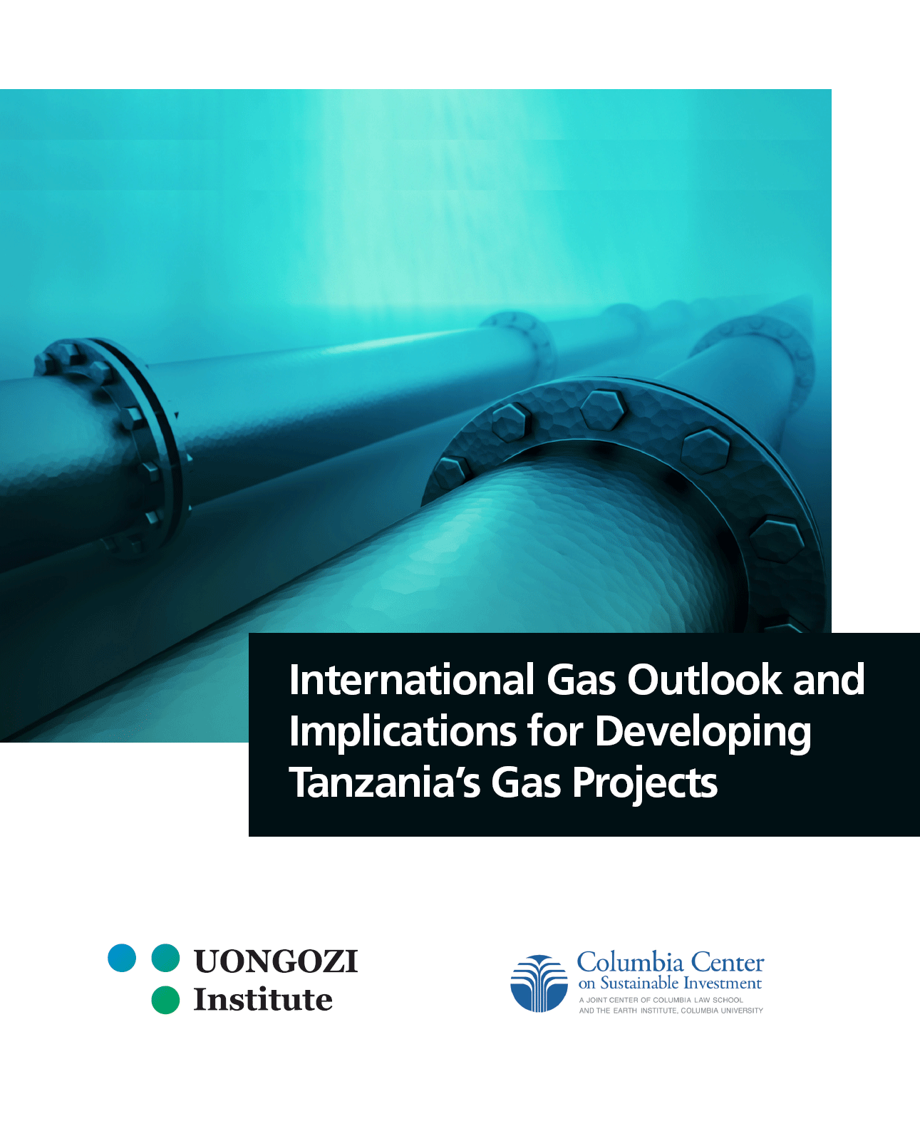 International Gas Outlook and Implications for Developing Tanzania’s Gas Projects