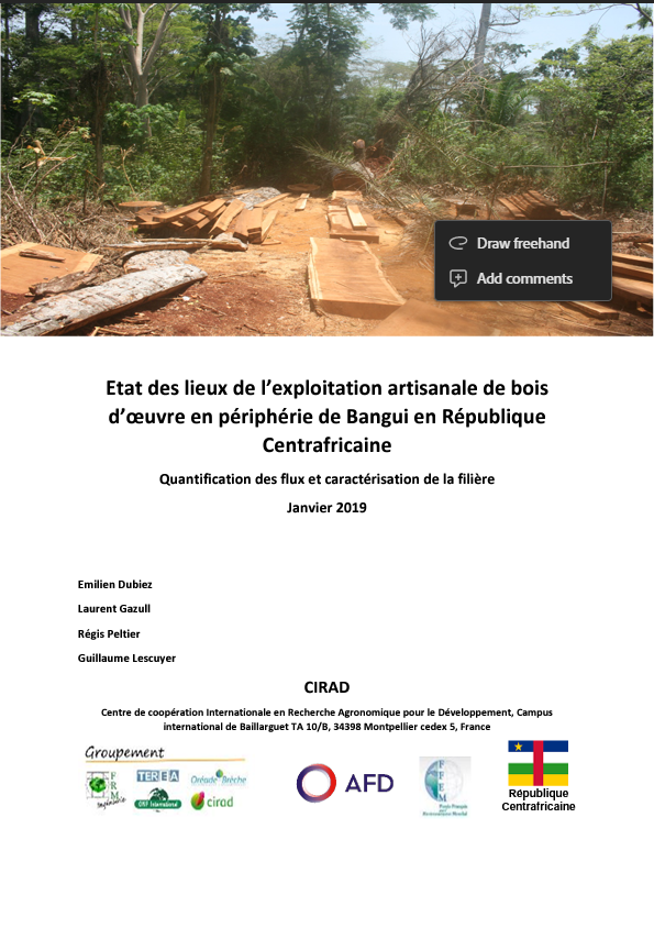 Etat des lieux de l’exploitation artisanale de bois d’œuvre en périphérie de Bangui en République Centrafricaine 