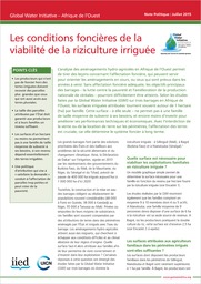 Les conditions foncières de la viabilité de la riziculture irriguée cover image