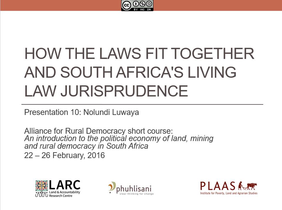 South Africa's living law jurisprudence - Nolundi Luwaya