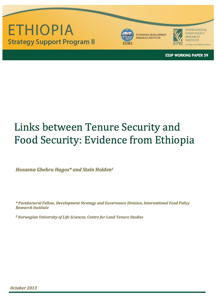 Links between tenure security and food security: Evidence from Ethiopia cover image