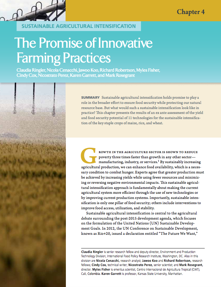 Sustainable agricultural intensification: The promise of innovative farming practices cover image