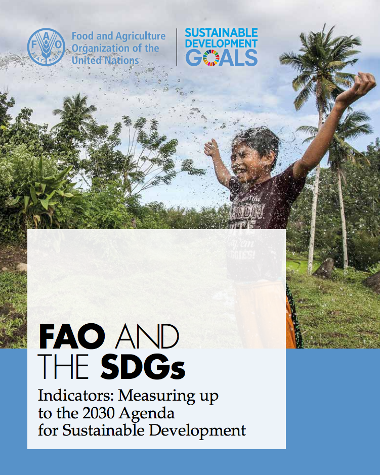 FAO and the SDGs cover image