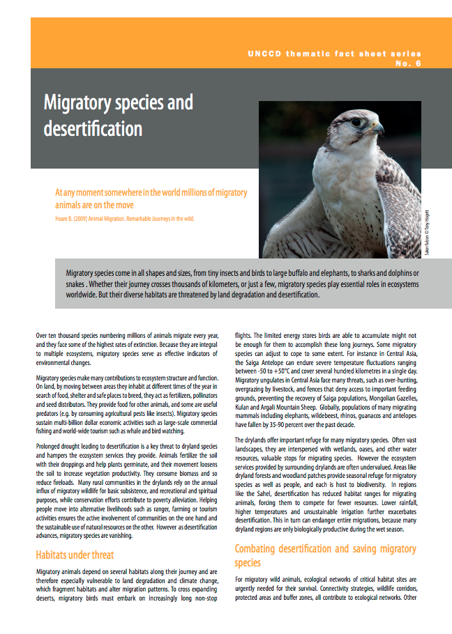 Migratory species and desertification cover image