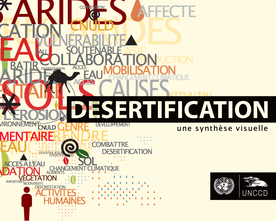 Desertification: une synthèse visuelle cover image