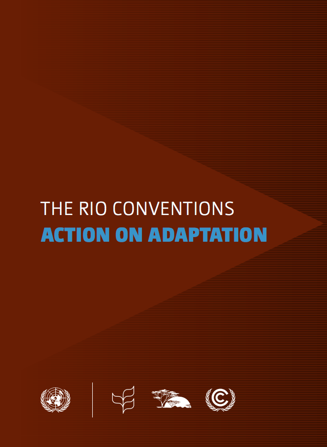 The Rio Conventions: Action on Adaptation cover image
