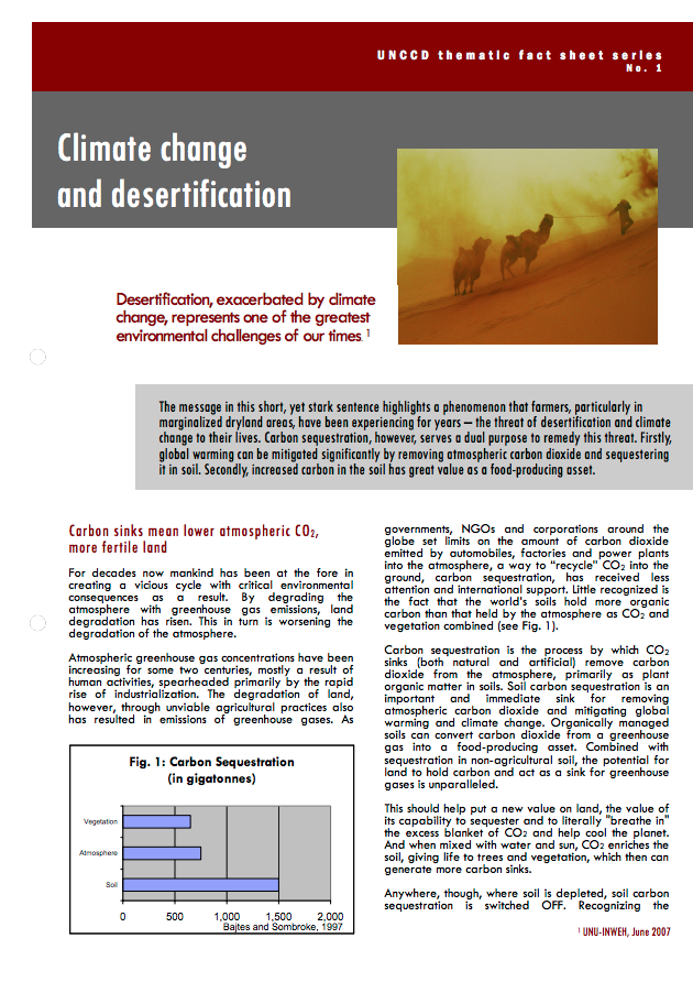 Climate change and desertification cover image