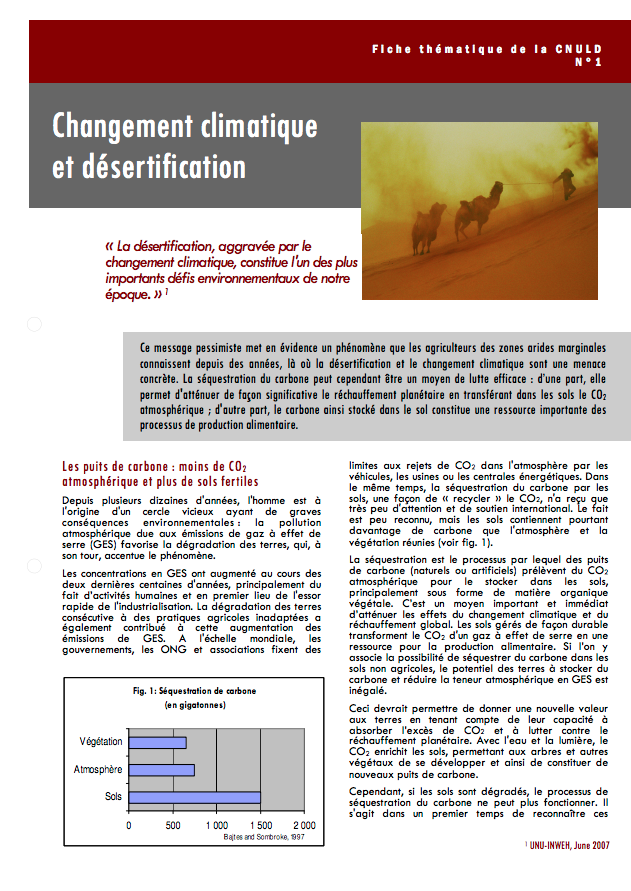 Changement climatique et désertification cover image
