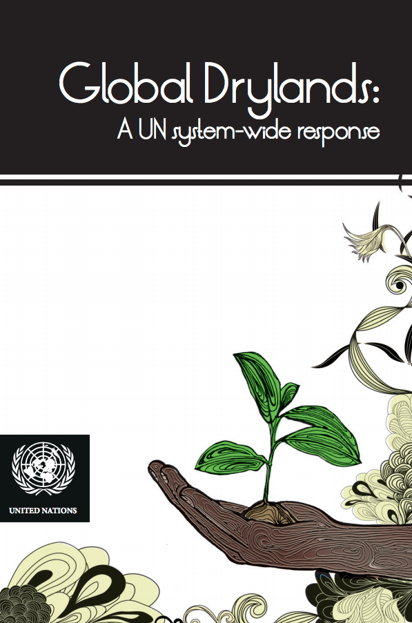 Global Drylands: A UN system-wide response cover image