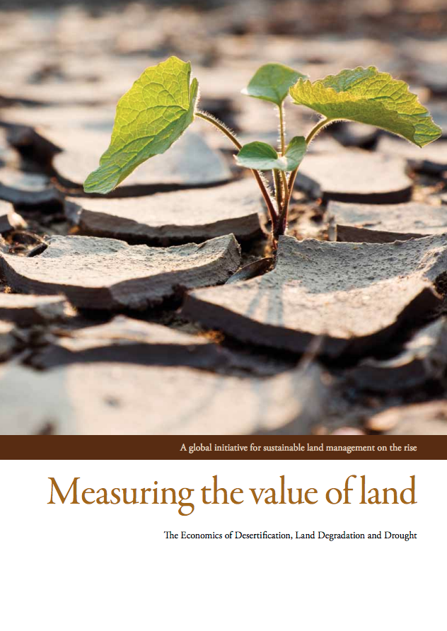 Measuring the value of land cover image