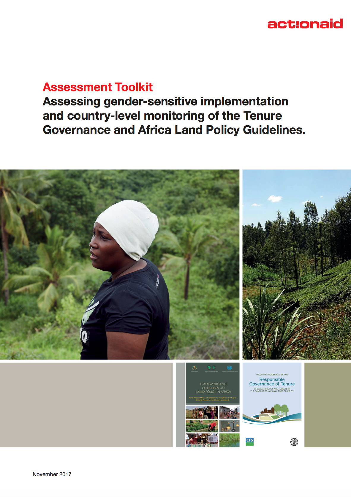 Assessment Toolkit: Assessing gender-sensitive implementation and country-level monitoring of the Tenure Governance and Africa Land Policy Guidelines cover image