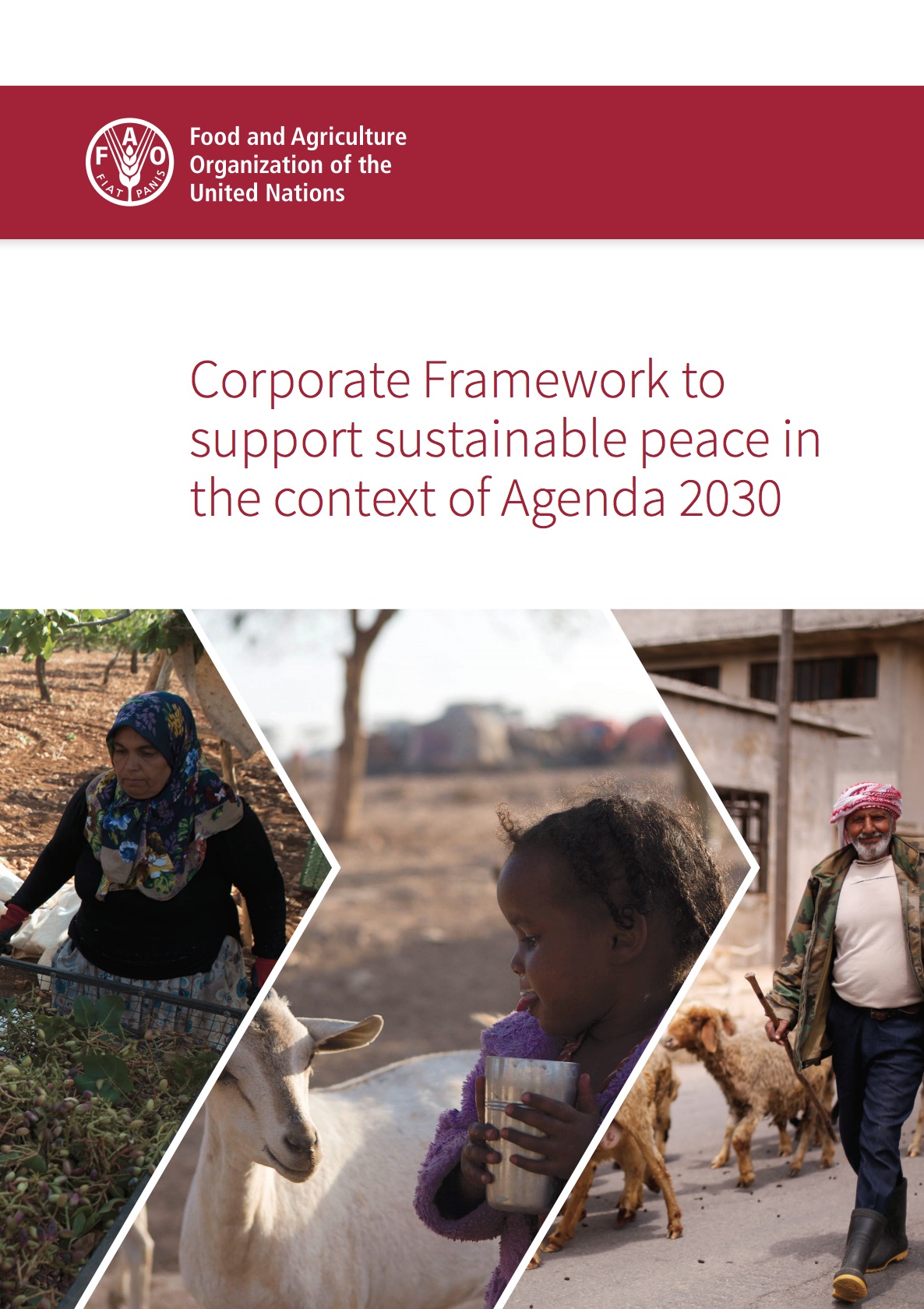 Corporate Framework to support sustainable peace in the context of Agenda 2030 cover image