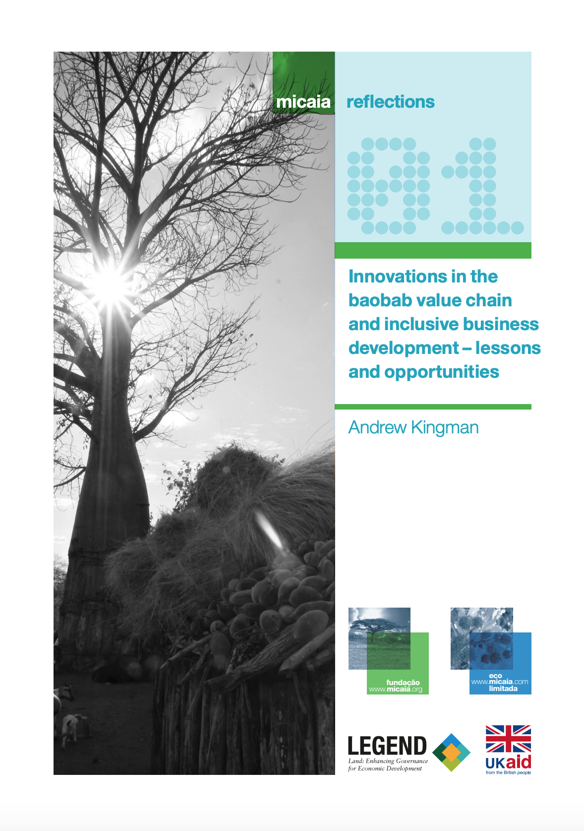 Innovations in the baobab value chain and inclusive business development – lessons and opportunities cover image