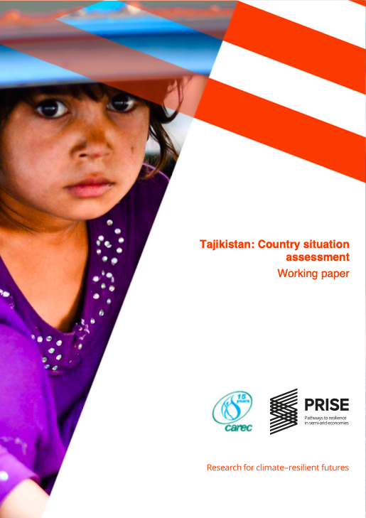   Tajikistan: Country Situation Assessment