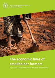 economic smallholders - FAO