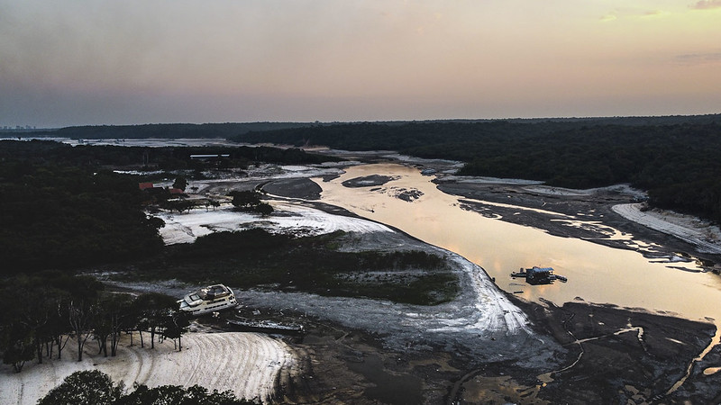 Foto: Amazônia Real/Flickr