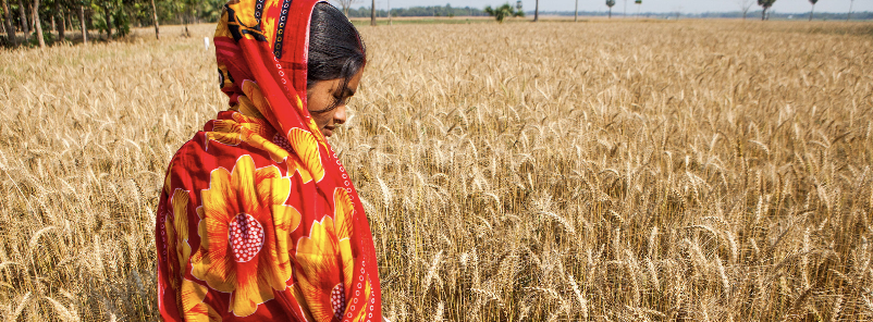 a farmer from Rajbari District, Bangaldesh