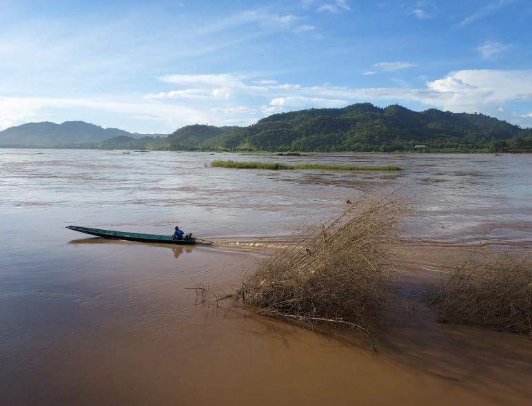  A fisherman drives his boat past dead trees that slid into the Mekong River during a riverbank collapse