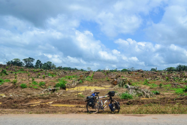 Deforestation in Nigeria for oil palm plantations. Image by jbdodane via Flickr (CC BY-NC 2.0).