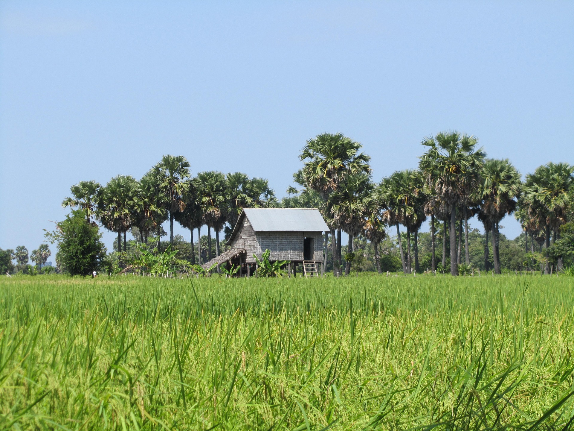landscape-Cambodia