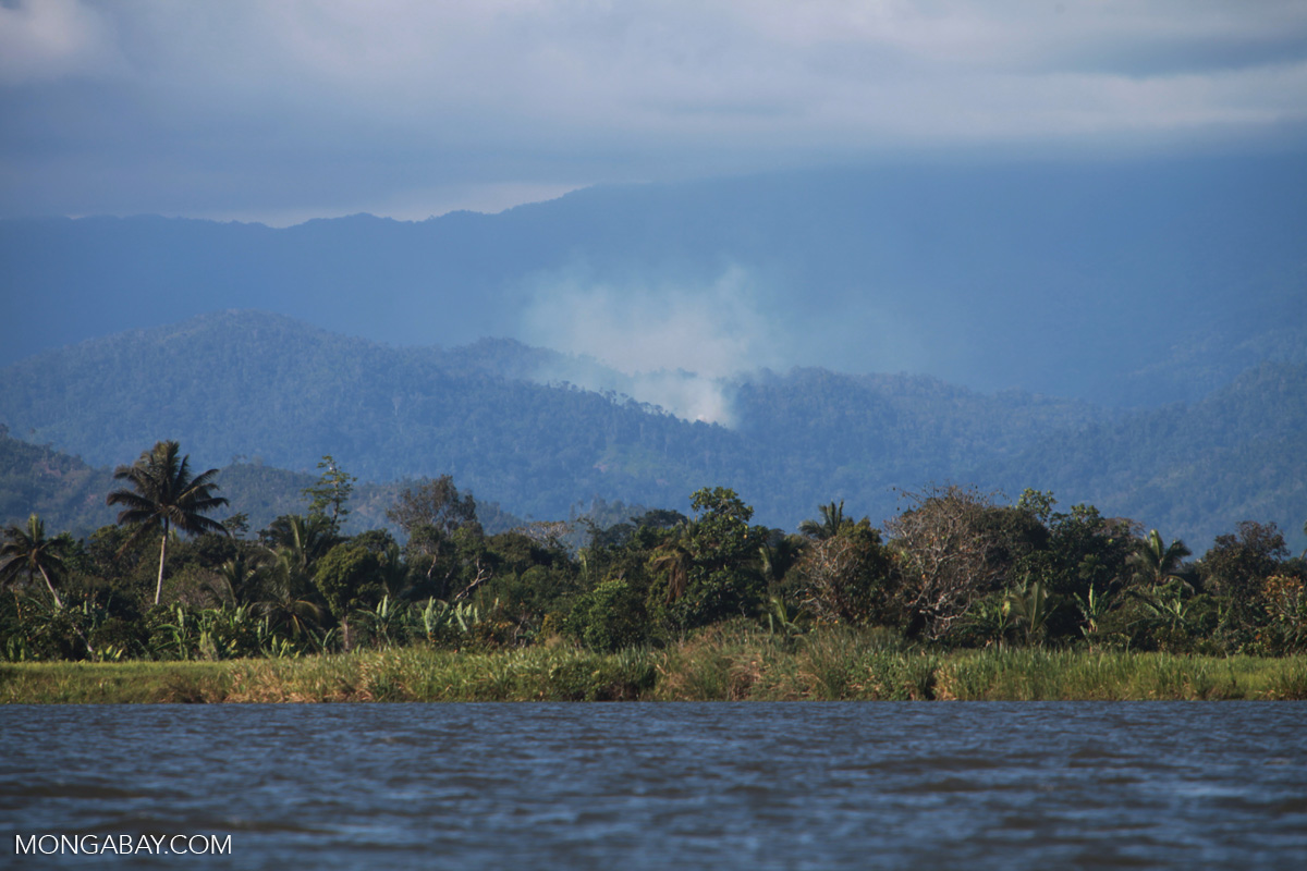 https://imgs.mongabay.com/wp-content/uploads/sites/20/2021/08/18050957/madagascar_2132.jpeg