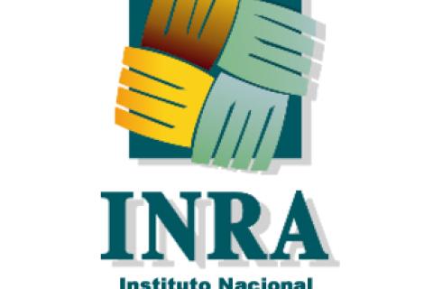 Instituto Nacional de Reforma Agraria Bolivia logo