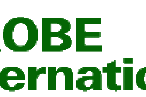 Probe International logo