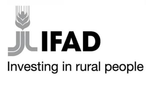 IFAD Logo
