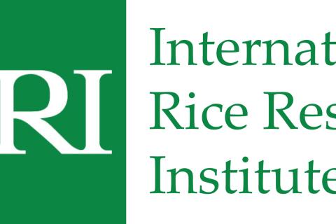 irri-logo.jpg