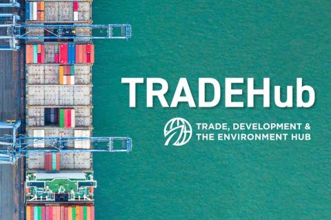 Trade, Development and the Environment Hub