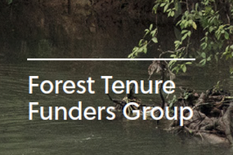 Forest Tenure Funders Group