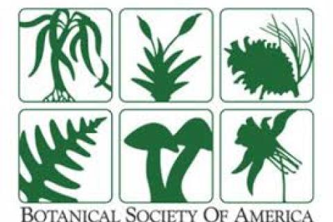Botanical Society of America logo