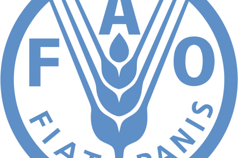 FAO logo