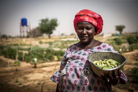 Community Farming in Gao, Mali, 2017