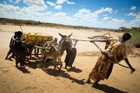 Drought in Kenya's Ewaso Ngiro river basin, photo by Water Alternatives Photos CC BY-NC 2.0_0