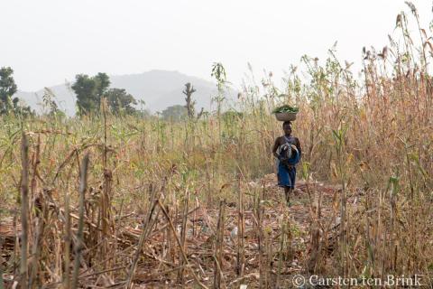 Kambari women in field-Carsten ten Brink, 2018