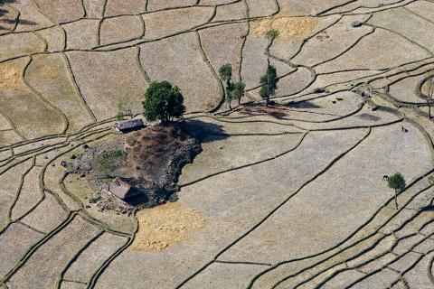 An aerial view of the rice fields in Baucau, Timor-Leste, UN, 2008 CC BY-NC-SA 2.0