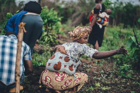 Des paysans et des paysannes en Sierra Leone, en 2017. © Annie Spratt / Unsplash