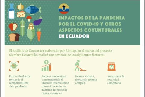 Impactos Covid-19 Ecuador