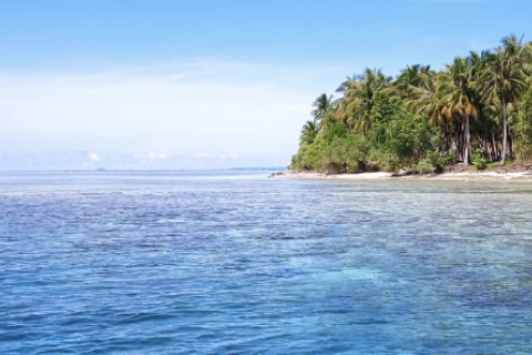Indonesia island auction