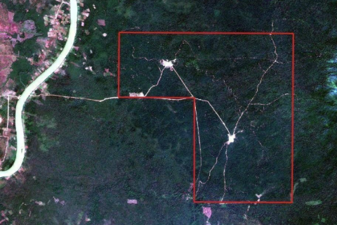 deforestation inside the area in Stung Treng’s O’Svay commune granted as an Economic Land Concession